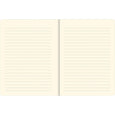 Cats Journal