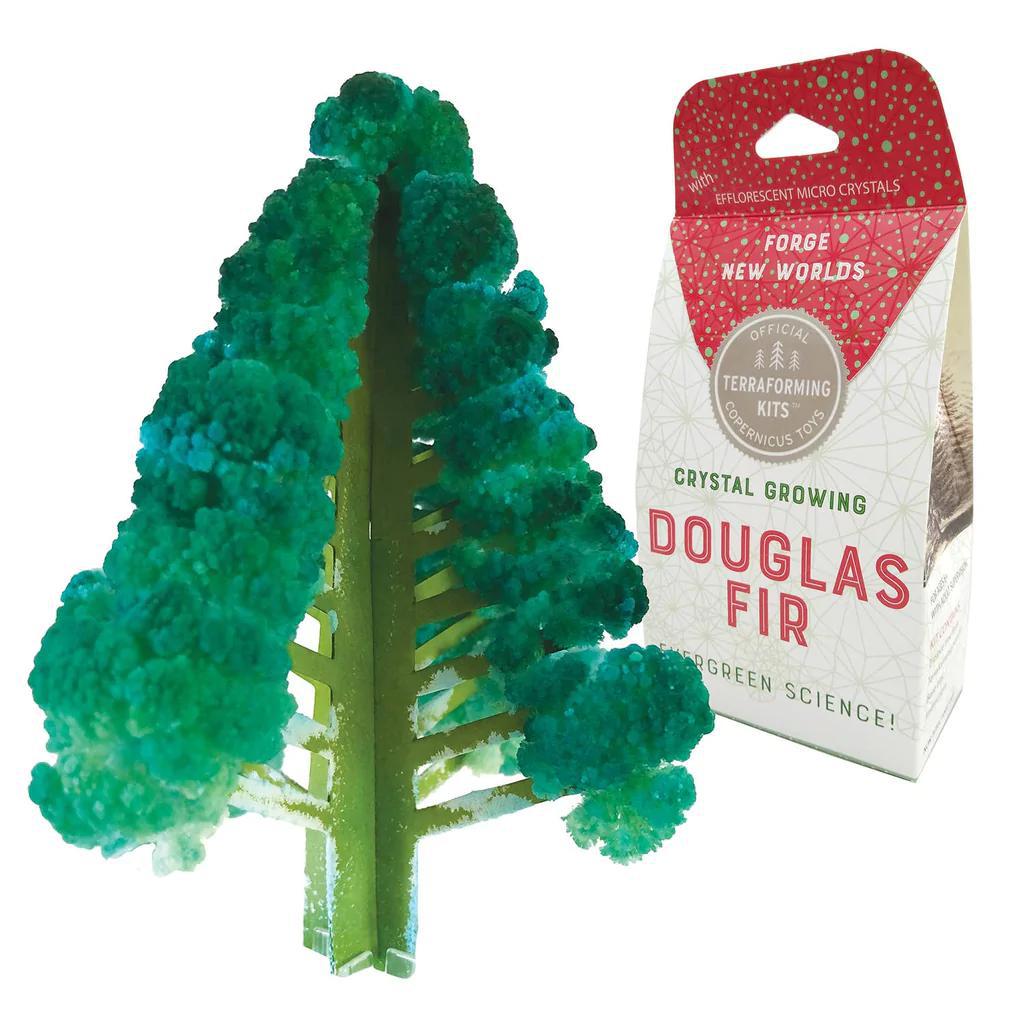 Crystal Growing Douglas Fir