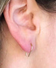 Horseshoe earrings