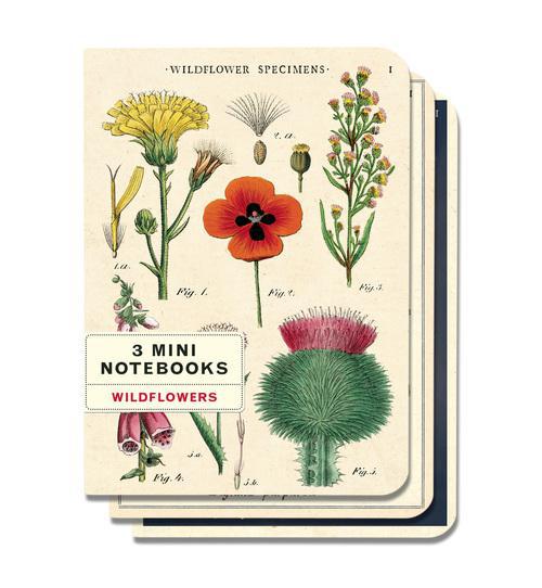 Wildflowers Mini Notebook Set