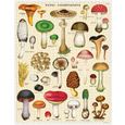 Mushrooms 1000 Piece Puzzle