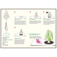 Crystal Growing Douglas Fir