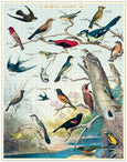 Audubon Birds 1000 Piece Puzzle