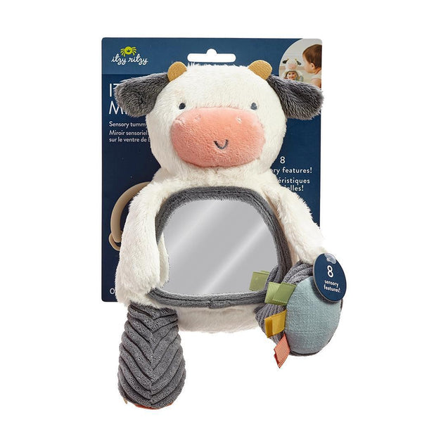 Itzy Bitzy Mirror Plush Sensory Toy