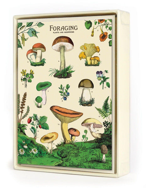 Foraging Boxed Notecards