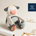 Itzy Bitzy Mirror Plush Sensory Toy