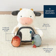 Itzy Bitzy Mirror Plush Sensory Toy