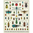 Bugs & Insects 1000 Piece Puzzle