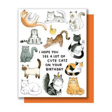 Hope You See A Lot Of Cute Cats Birthday Card