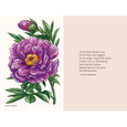 Peonies: A Little Book of Flowers