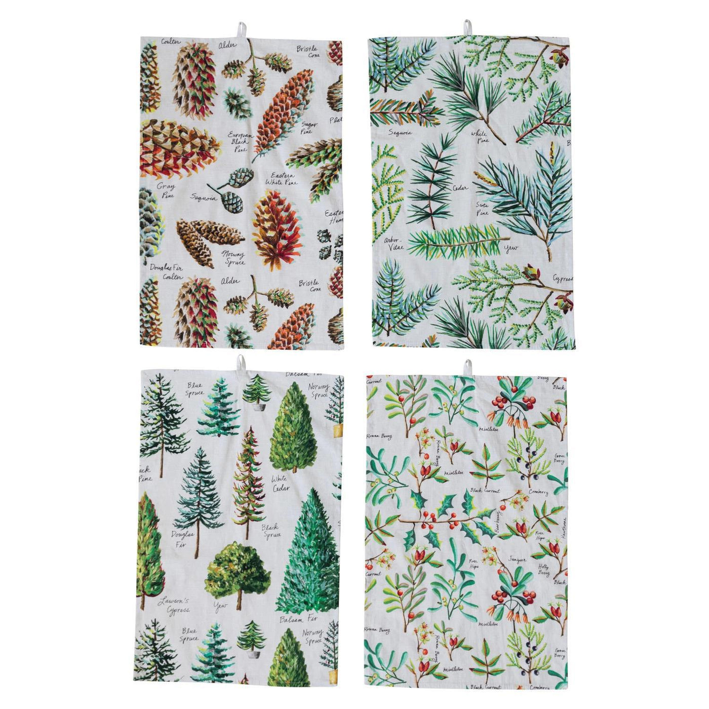 Evergreen  Cotton Tea Towels
