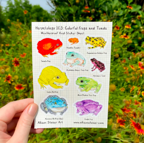 Colorful Frogs and Toads Weatherproof Vinyl Sticker Sheet