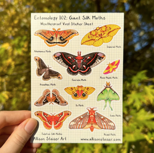 Giant Silk Moths Weatherproof Vinyl Sticker Sheet