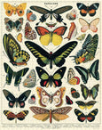 Butterflies 1000 Piece Puzzle