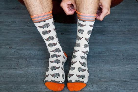 Hedgehog Men's Socks