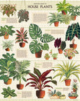 House Plants 1000 Piece Puzzle