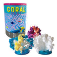 Crystal Growing Coral Reef Kit
