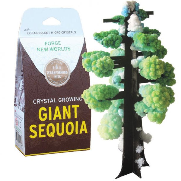 Giant Sequoia Crystal Growing Kit