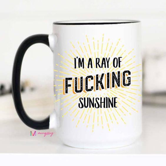 I’m A Ray of Fucking Sunshine Mug