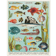 Aquarium 1000 Piece Puzzle